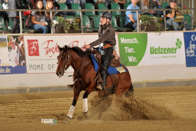 Reining Training und Turnier Betreuung