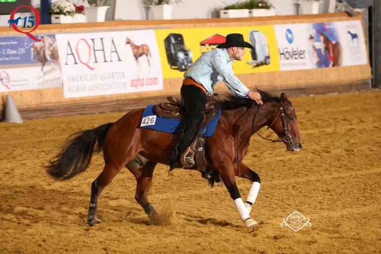 Unsere Reining Trainer reiten selbst Turniere