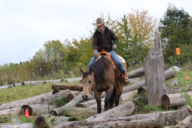 Geländetraining - extreme Trails