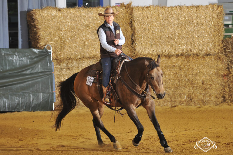 Westernreiten & Reining - unsere Leidenschaft